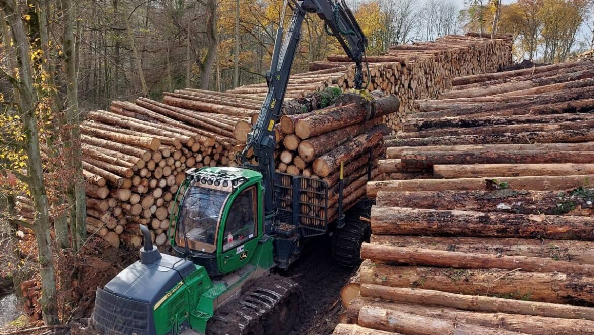Usluga Profesionalne Sječe i Izvoza Drva